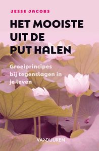 Het mooiste uit de put halen - Jesse Jacobs - ebook