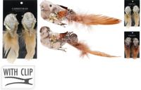 Vogel op clip 14 cm set2 2ass Nampook - Nampook