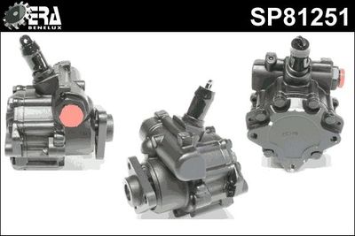 Stuurpomp SP81251