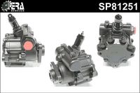 Stuurpomp SP81251