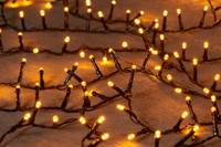 Led Classic Ivy 2000L42M - 5Mm Concave Led - 4Mtr - Annas collection