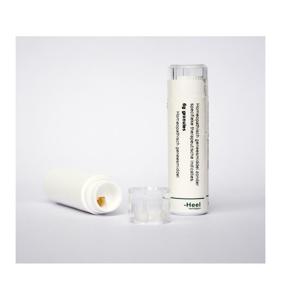Ledum palustre D60