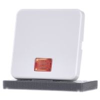 155309  - Cover plate for switch/push button white 155309 - thumbnail