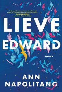 Lieve Edward (Paperback)