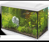 Superfish Start 100 tropical aquarium wit