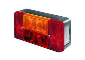 ACHTERLICHT LINKS +M.L. en Plaatverlichting 9902923