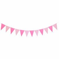 Vlaggetjes (Roze) Vlaggetjes (Roze)
