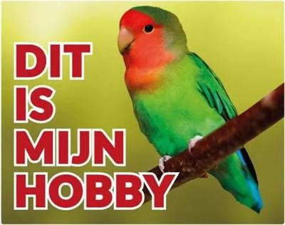 Agapornis Roseicollis Waakbord - Dit is mijn Hobby Agapornis Roseicollis Waakbord - Dit is mijn Hobby