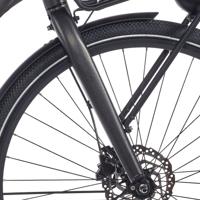 Cortina voorvork common family db black gold matt