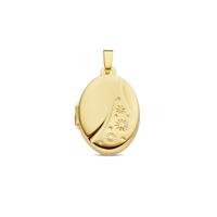 14K Geelgouden Medaillon - Bewaar Jouw Kostbare Herinneringen met Stijl