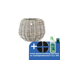 Drypot tina rotan d45h34cm bruin