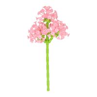 Lobbes Bloemen bouwset roze - 227dlg.