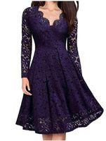 Casual Plain Lace Dress With No