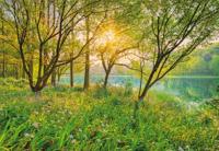 Komar Home; Komar Colours Fotobehang Spring Lake - 8-524