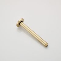 Plafonduitloop BWS Gold Geborsteld Messing Mat Goud 20 cm - thumbnail