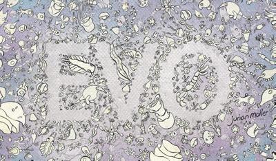 EVO flipboekje (Paperback)