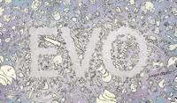 EVO flipboekje (Paperback)