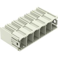 WAGO 832-3626 Female connector 10 stuk(s)