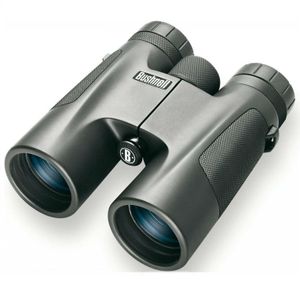 Bushnell Powerview 10x42