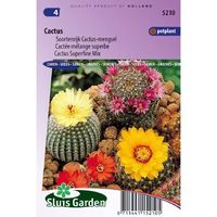 Cacti Species zaden Splendid mixture Cactus - thumbnail