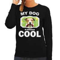 Jack russel honden sweater / trui my dog is serious cool zwart voor dames