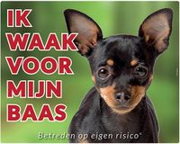 Chihuahua Waakbord  Zwart - Ik waak voor mijn Baas