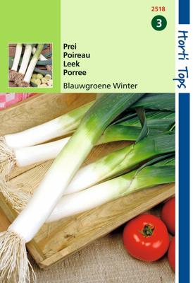 Prei Blauwgroene Winter, Sel. Hiverbleu - Hortitops