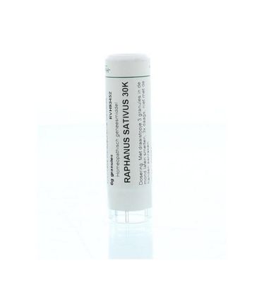 Raphanus sativus 30K