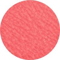 PFERD TOOLS 42778508 Kleinefiberschijf Diameter 50 mm Aluminium, Brons, RVS, Titanium, Kneedbaar 100 stuk(s)