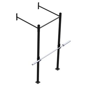 PTessentials Wall Mount Crossfit Rig V21