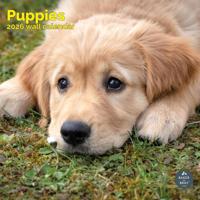 Puppies Kalender 2026