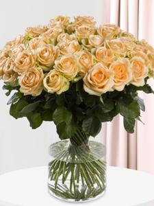 50 zalmkleurige rozen - Avalanche Peach