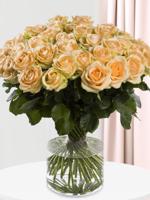 50 zalmkleurige rozen - Avalanche Peach