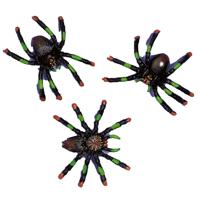 Nep spinnen - 8x stuks - zwart - 4 x 3 cm - halloween - beestjes - horror - feestdecoratie