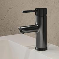 Wastafelkraan SaniClear Iron Stripes | Opbouw | Mengkraan | Standaard model | Verouderd ijzer - gunmetal