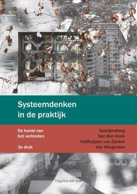 Systeemdenken in de praktijk (Paperback)