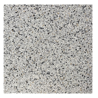 Terre d&apos;Azur Granito Treviso 40x40 cm