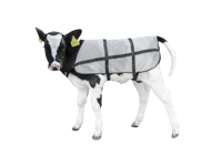 Bodyguard Kalf Zomerdekje