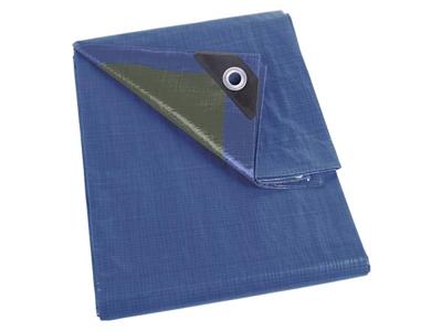Dekzeil blauw/groen standaard 2 x 4 m - Velleman