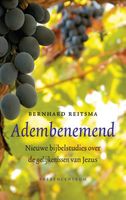Adembenemend - Bernhard Reitsma - ebook - thumbnail