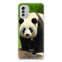 Nokia G60 TPU Hoesje Panda