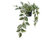 LIVARNO Hangende kunstplant (Zebrakruid)