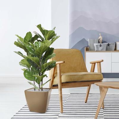 Lyrata kunstplant 95cm