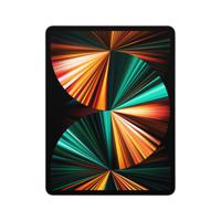 Apple iPad Pro 256 GB 32,8 cm (12.9") Apple M 8 GB Wi-Fi 6 (802.11ax) iPadOS 14 Zilver - thumbnail