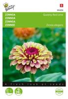 Zaden zinnia queeny red lime 25 zaden - Buzzy
