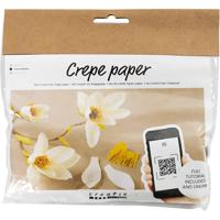 https://www.cchobby.nl/mini-hobbyset-crepepapier-magnoliatak-crepe-verhouding-180-1-doos
