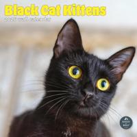 Zwarte Kittens Kalender 2026