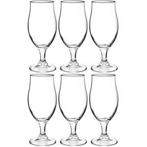 18x Stuks luxe bierglazen voor speciaalbier 375 ml