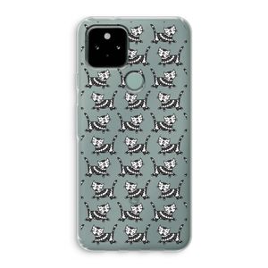 Zwarte poes: Google Pixel 5 Transparant Hoesje