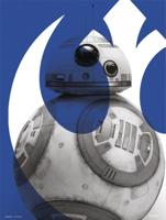 Kunstdruk Star Wars Episode IX BB 8 30x40cm